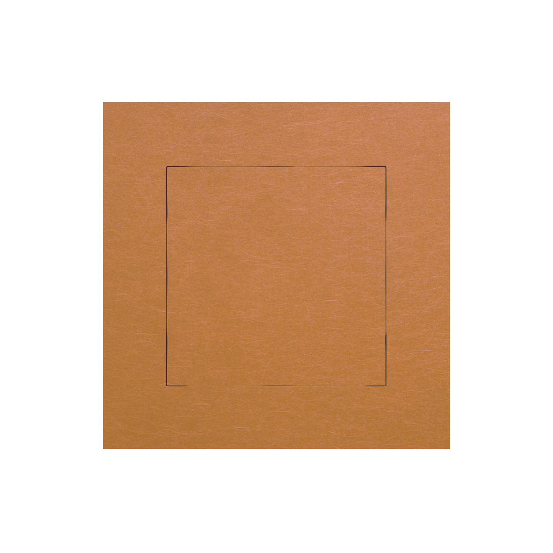 Schneider-Miluz-Cobre-Tapa-ciega.png