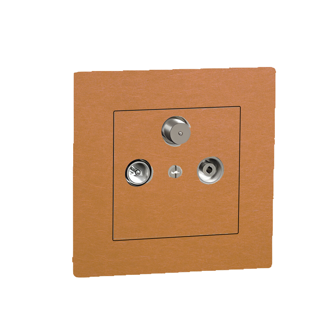 Schneider-Miluz-Cobre-toma-final-TV-satelite-2.png