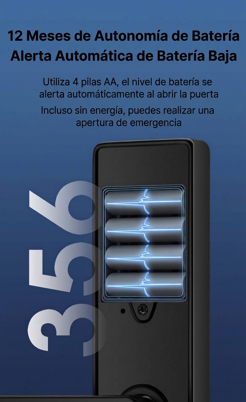 mmexport (11)